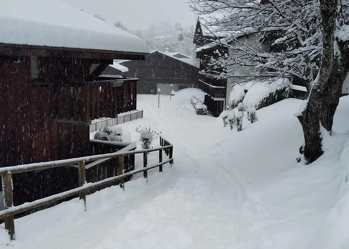 Appartement Aux Pieds Des Pistes / Piscine