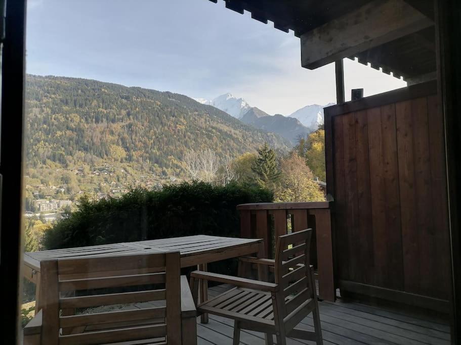 Aux Pieds Des Pistes / Piscine