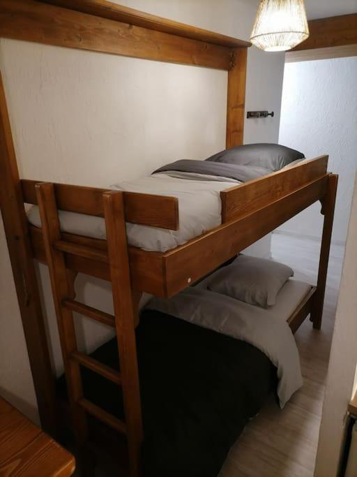 Appartement Aux Pieds Des Pistes / Piscine *