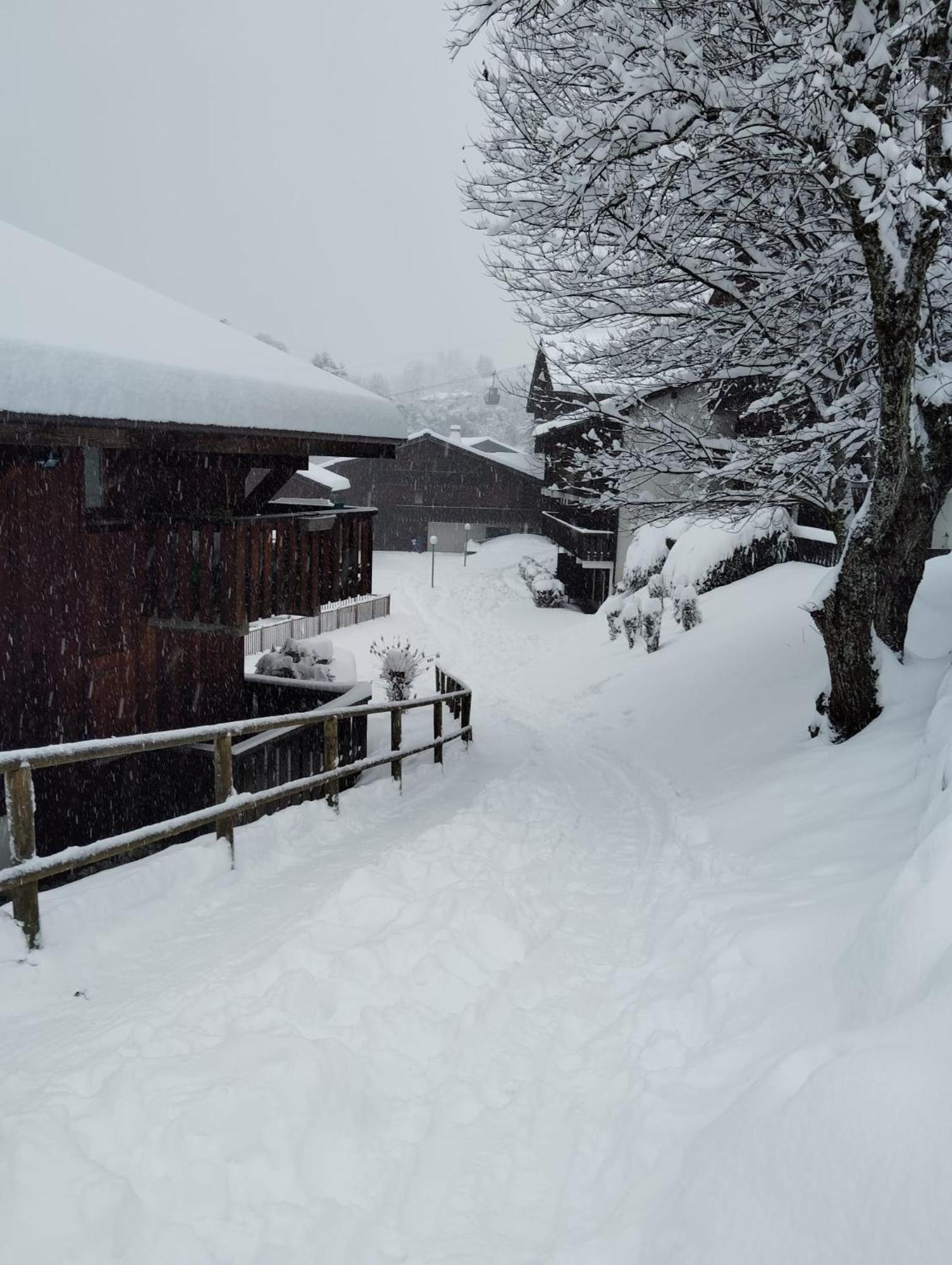 Aux Pieds Des Pistes / Piscine